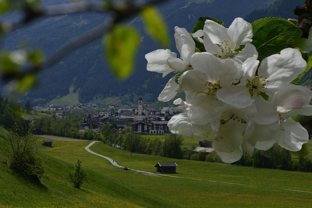 Pension Tina Neustift im Stubaital Exterior foto